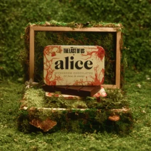 Buy Alice Collectors Edition Set